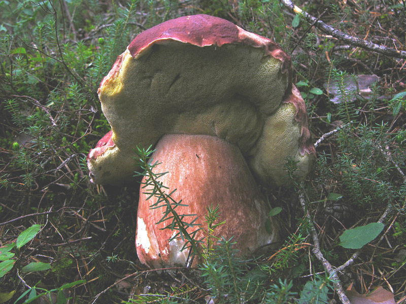 Qualche highlight 2007